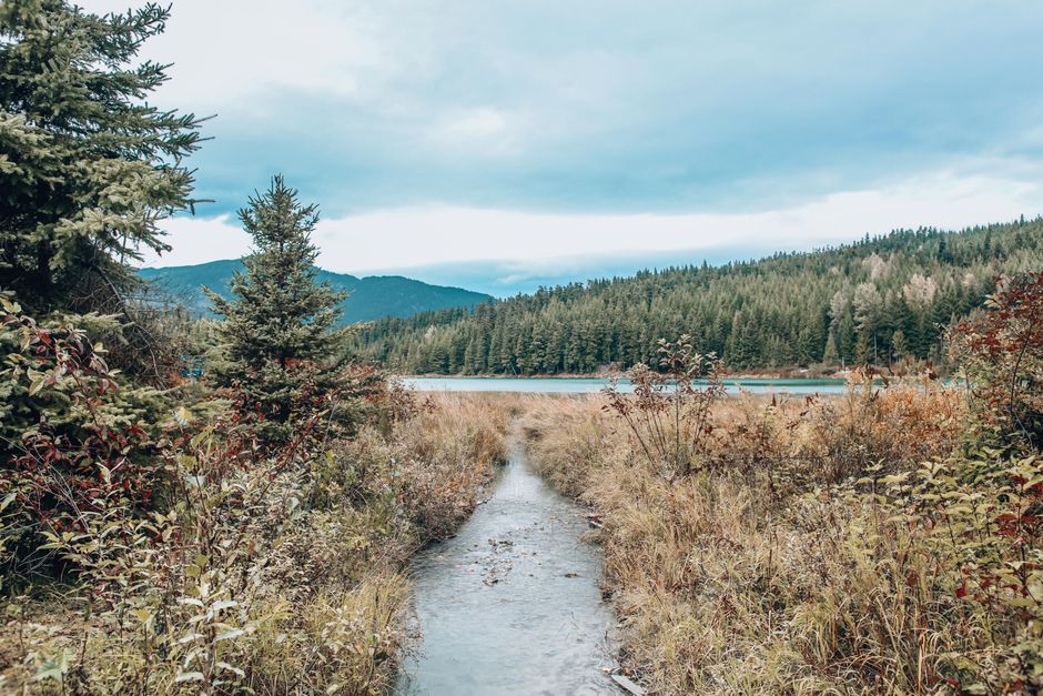 Lake Trail with a flexible return route — travel · National Parks