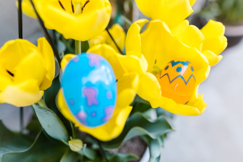 Night-time glow egg hunt