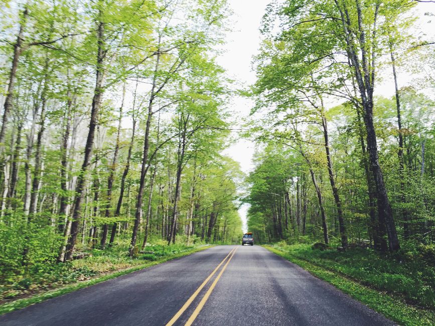 Road-Trip Singalong for two people — entertainment · Music