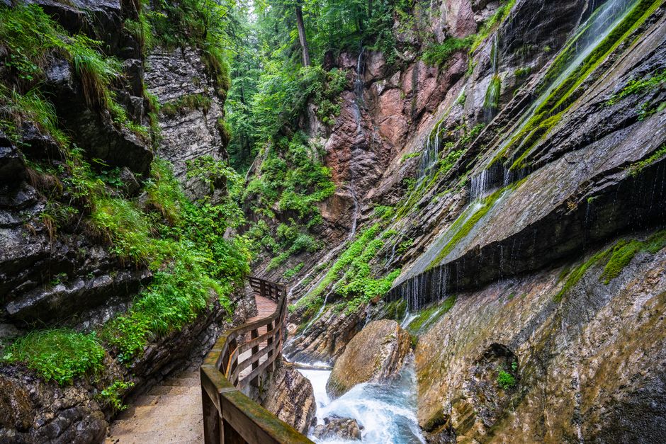 Easy Waterfall Trail around a neighborhood market — travel · Family Travel