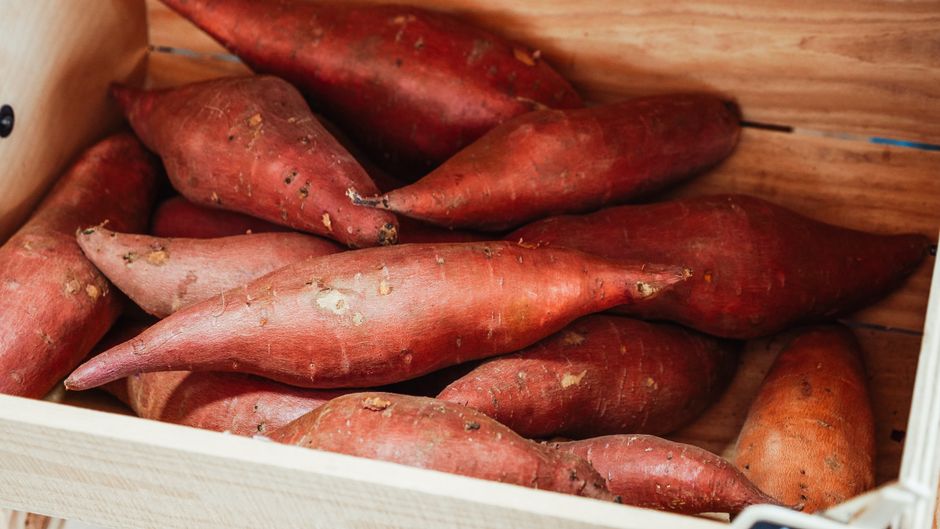 Sweet Potato Tacos with lemon and herbs — food · Recipes