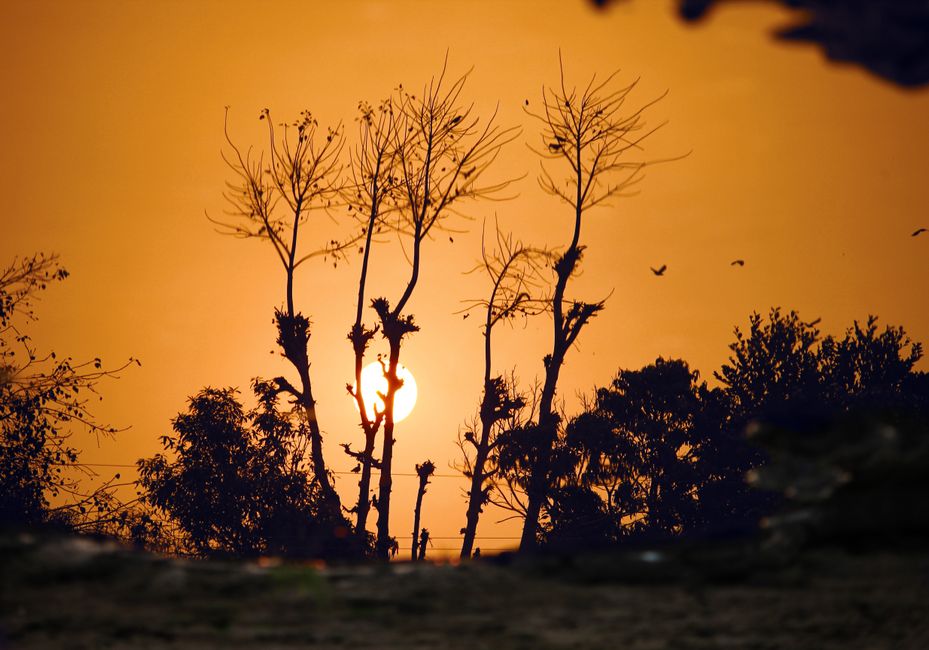 Golden-Hour Silhouette for a keepsake project — diy-creativity · Photography