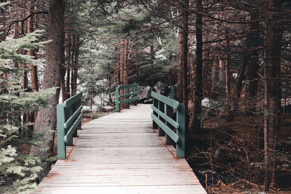Forest Boardwalk around a local craft shop — travel · Weekend Getaways