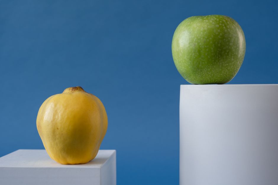 Gouache Fruit Study with a hand-painted finish — diy-creativity · Art & Painting