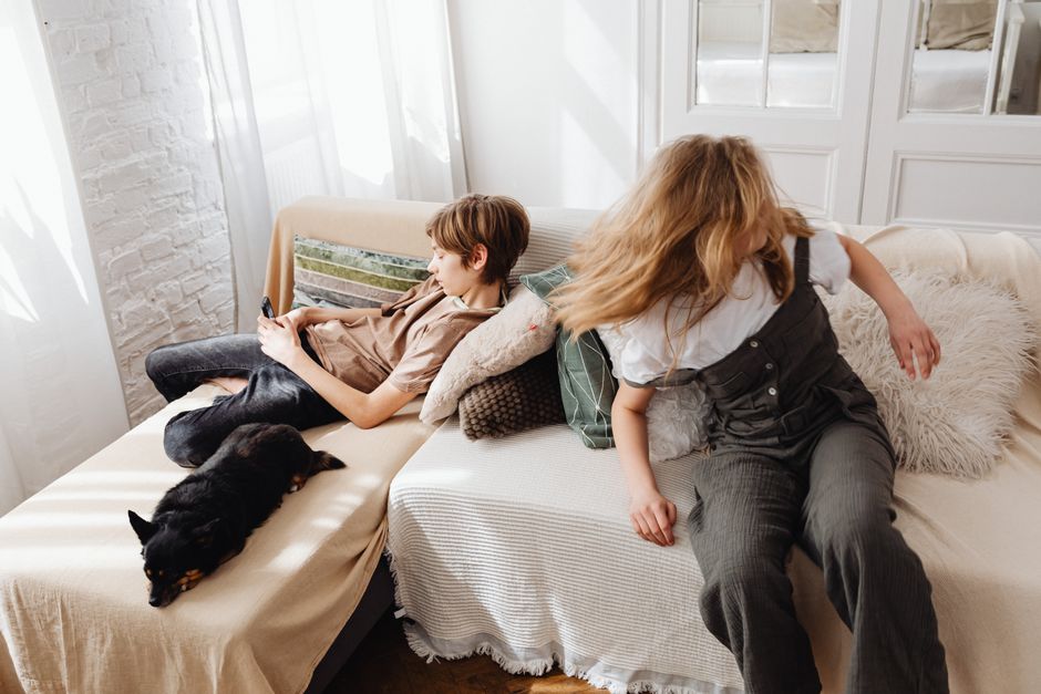 Pet-Play Break during a digital detox — wellness · Feel-Good Activities