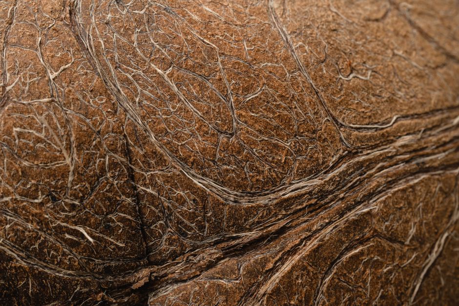 Texture Close-Up for study thoughtful gifting — diy-creativity · Photography