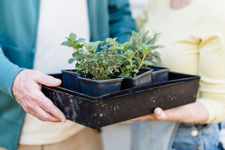 Herb Planter with a gallery-style arrangement — home · Garden & Outdoor