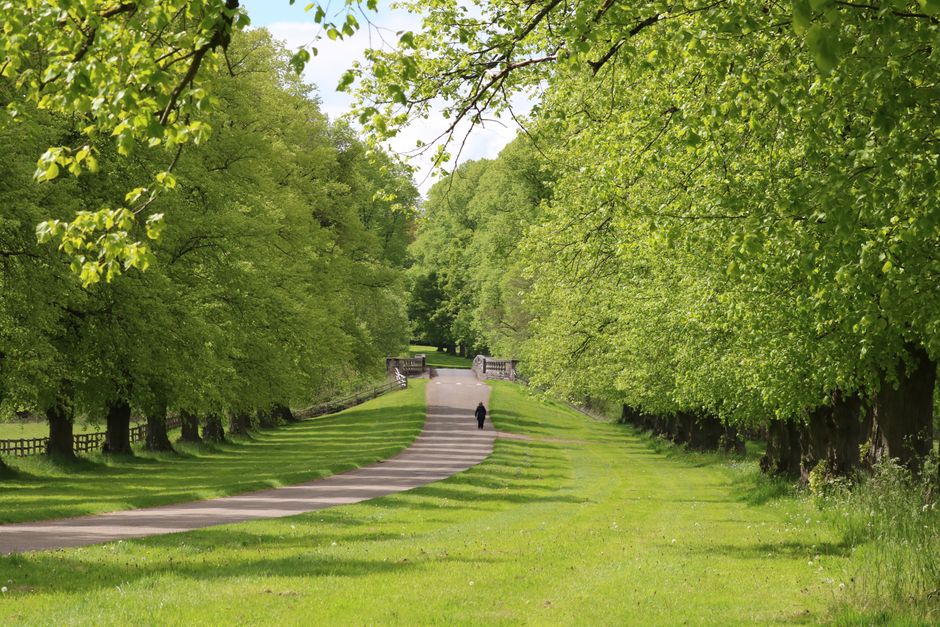 Quiet Walk for a weekend reset — lifestyle · Self-Care