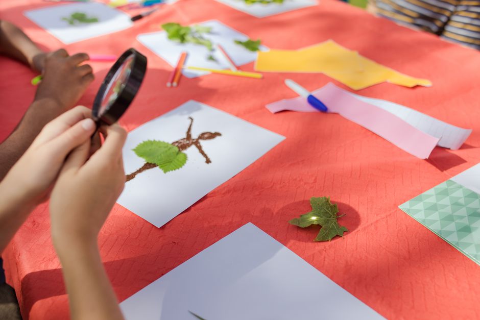 Backyard Nature Hunt around a classic favorite — entertainment · Family Fun