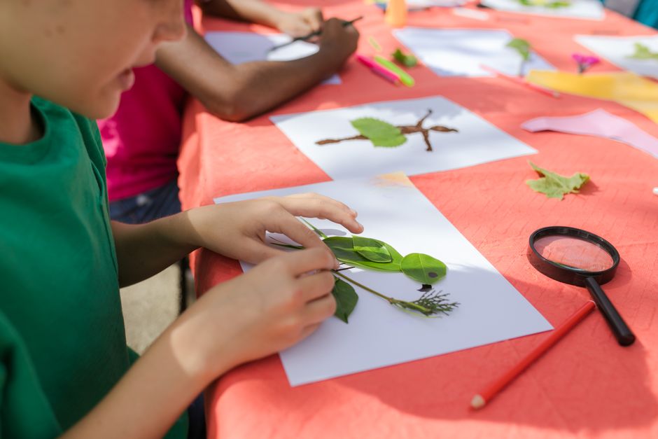 24 Backyard Nature Hunt ideas for people tired of scrolling