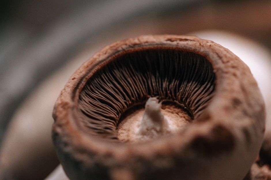 Stuffed Mushroom Caps for finger food parties — food · Party Food