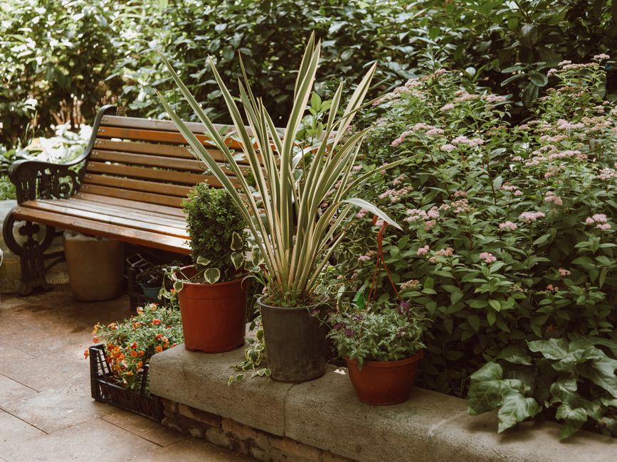 Garden Bench with warm evening lighting — home · Garden & Outdoor