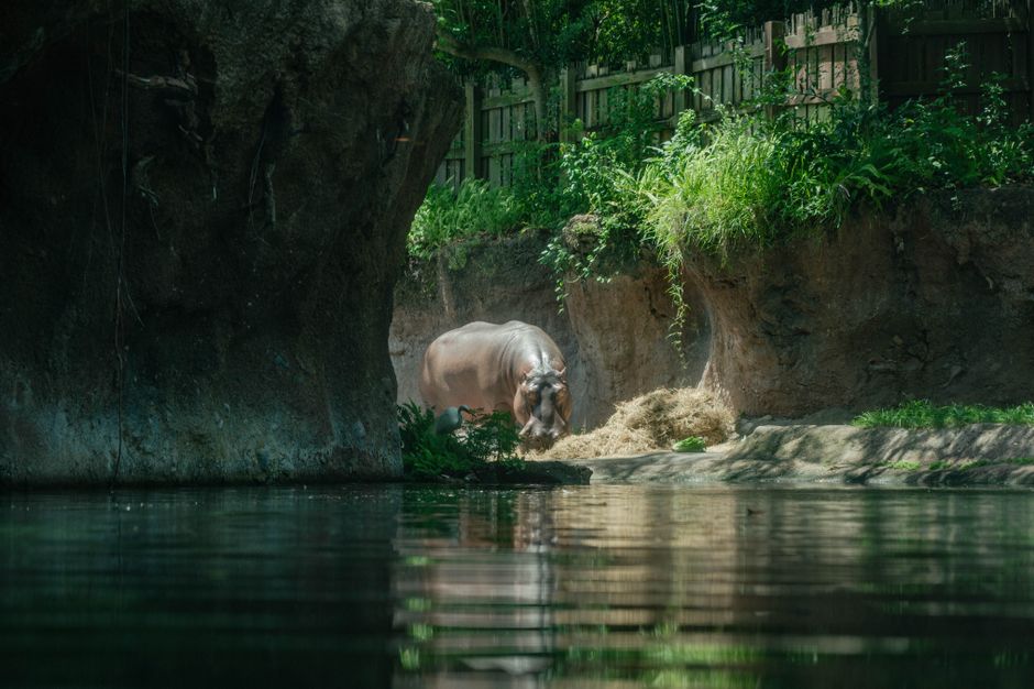 Zoo Morning with a sunset finish — travel · Family Travel