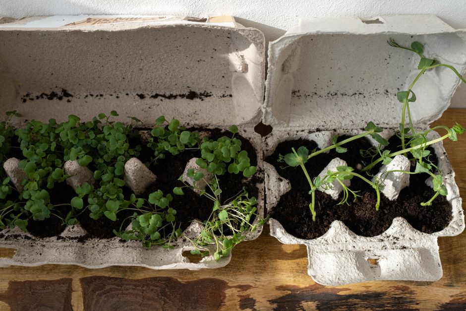 Herb Planter with hidden everyday storage — home · Garden & Outdoor