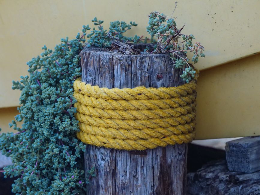 Rope Planter using a simple measuring trick — home · DIY