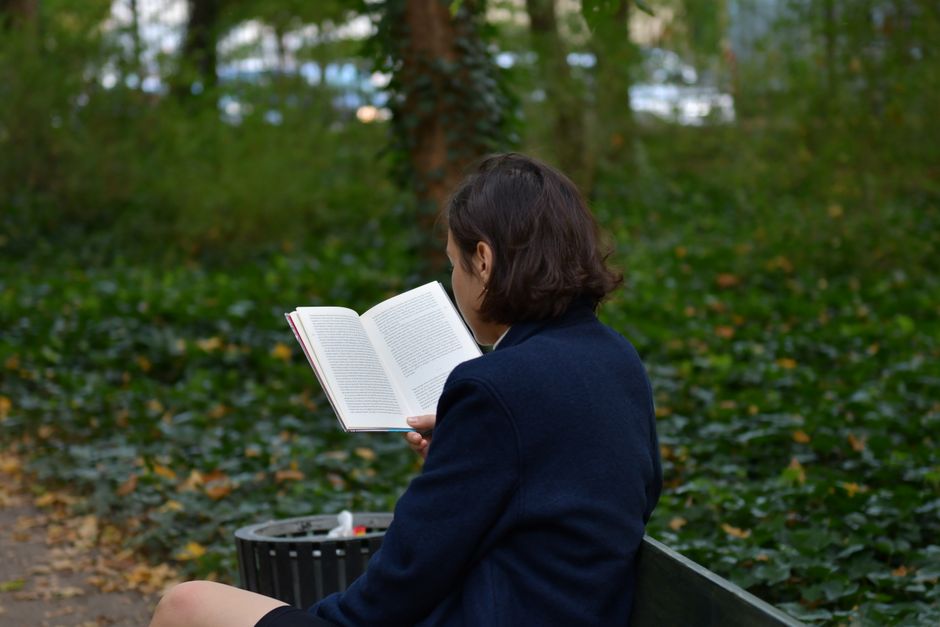 Park Bench Reading Stop with a short walking route — travel · Solo Travel