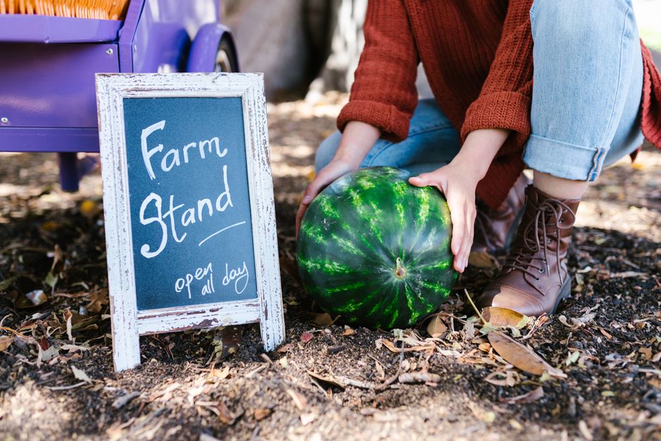 Roadside Farm Stand with a relaxed coffee stop — travel · Road Trips