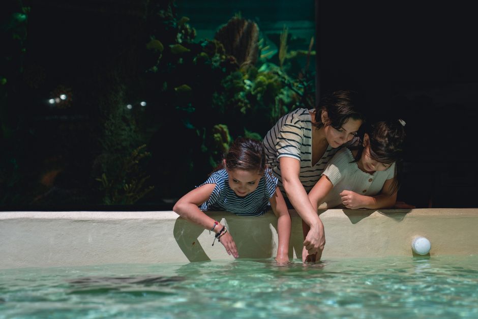 Kid-Friendly Museum with a weather-flexible route — travel · Family Travel