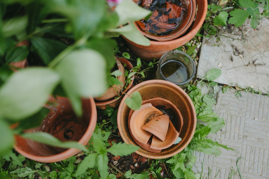 Painted Terracotta Pot for a beginner maker — diy-creativity · Crafts
