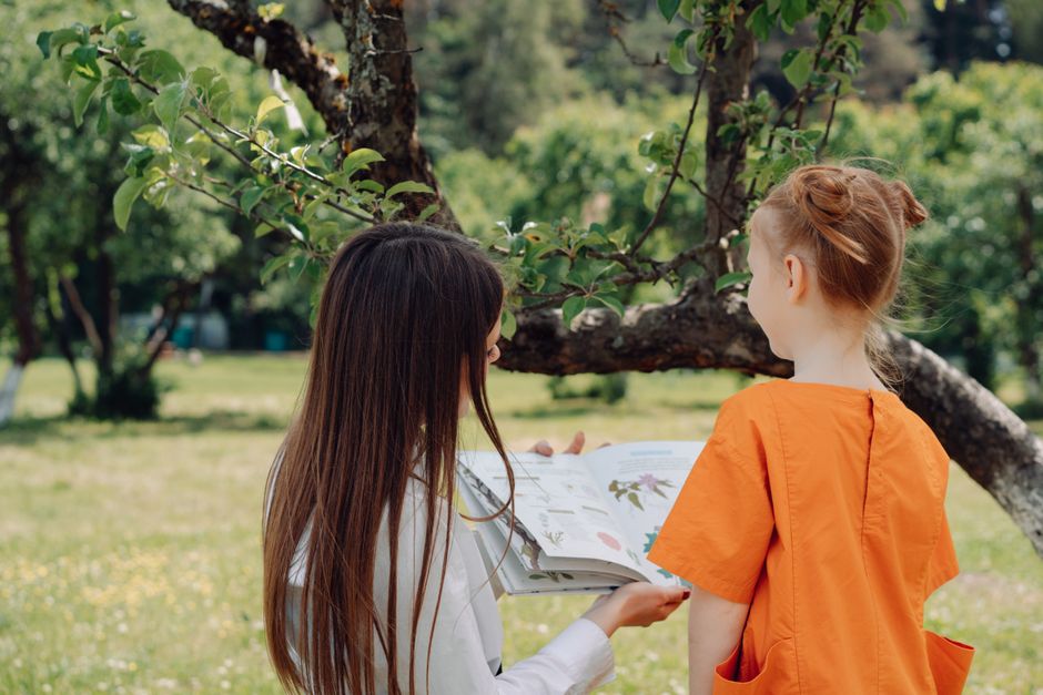 Backyard Nature Hunt for a late-night hangout — entertainment · Family Fun
