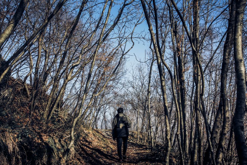 outdoor walking & outdoor rituals that get you into fresh air for better evening energy — wellness · Walking & Outdoor