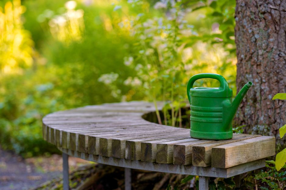 Garden Bench with one sculptural accent — home · Garden & Outdoor