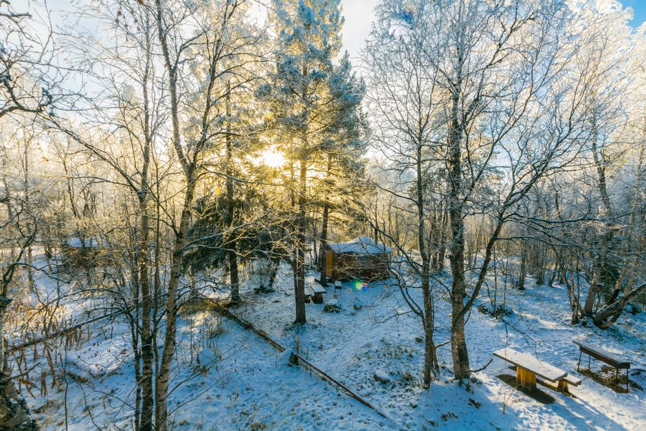 25 Cabin Morning ideas when you have five minutes