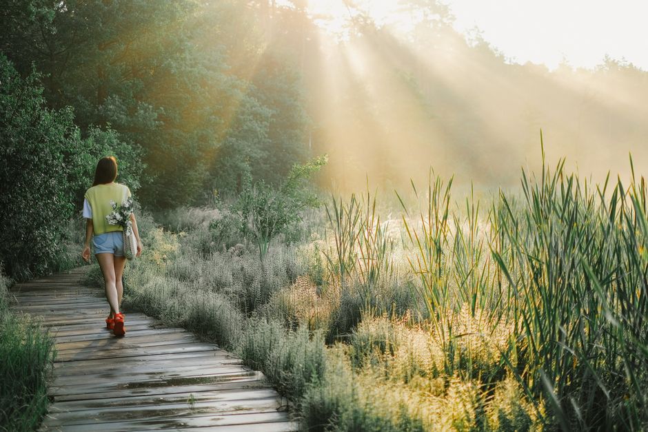 Sunrise Walk for a slower morning — wellness · Walking & Outdoor