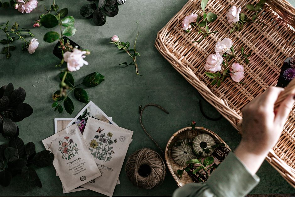 weekend garden & outdoor projects you can actually finish with a soft linen layer — home · Garden & Outdoor