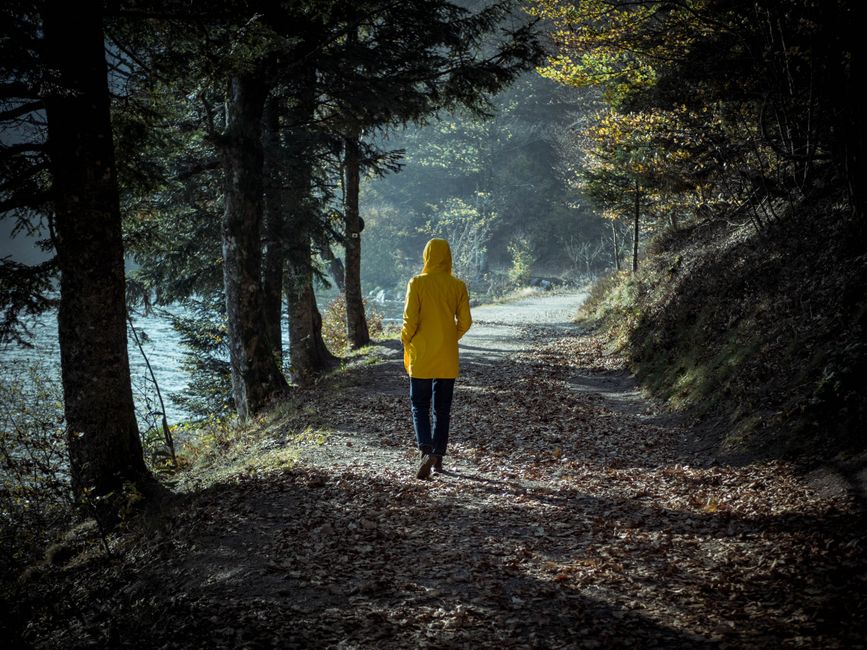 mindful walking & outdoor pauses with gentle movement — wellness · Walking & Outdoor