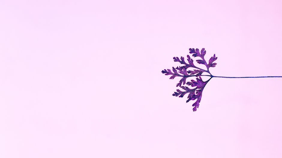 Leaf-print silhouette eggs