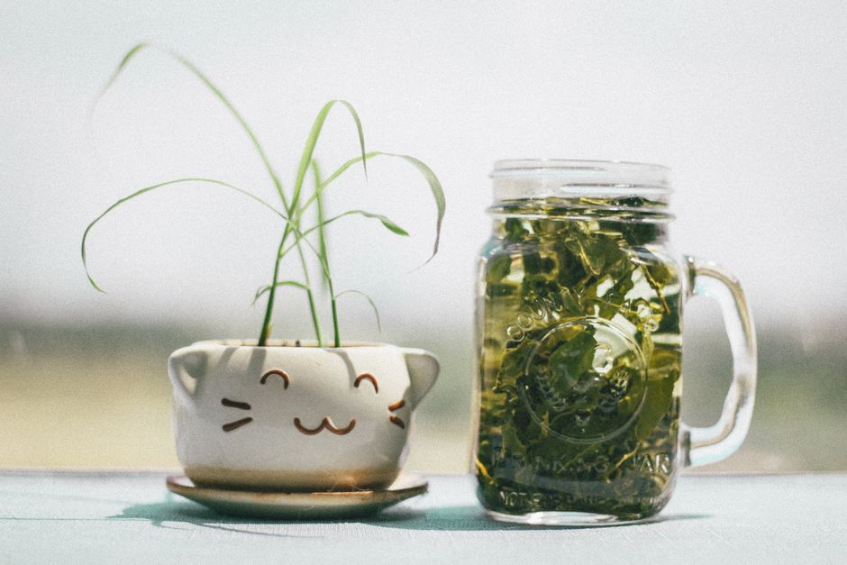Custom Tea Blend Jar — pressed flower frame for a rainy afternoon — diy-creativity · DIY Gifts