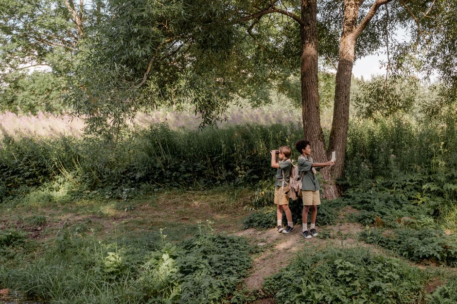 24 Backyard Nature Hunt ideas for people tired of scrolling