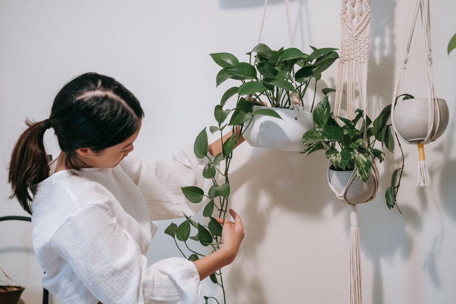Macramé Plant Hanger for a keepsake project — diy-creativity · Crafts