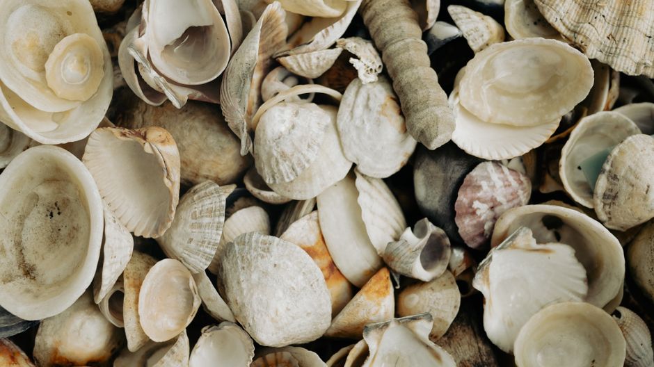 Beach Treasure Walk for an off-season visit — travel · Family Travel
