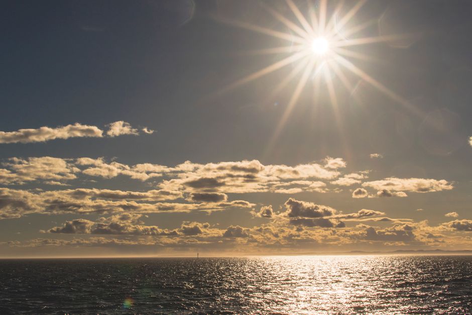 Sunlight-First Start with gentle movement — wellness · Morning Routines
