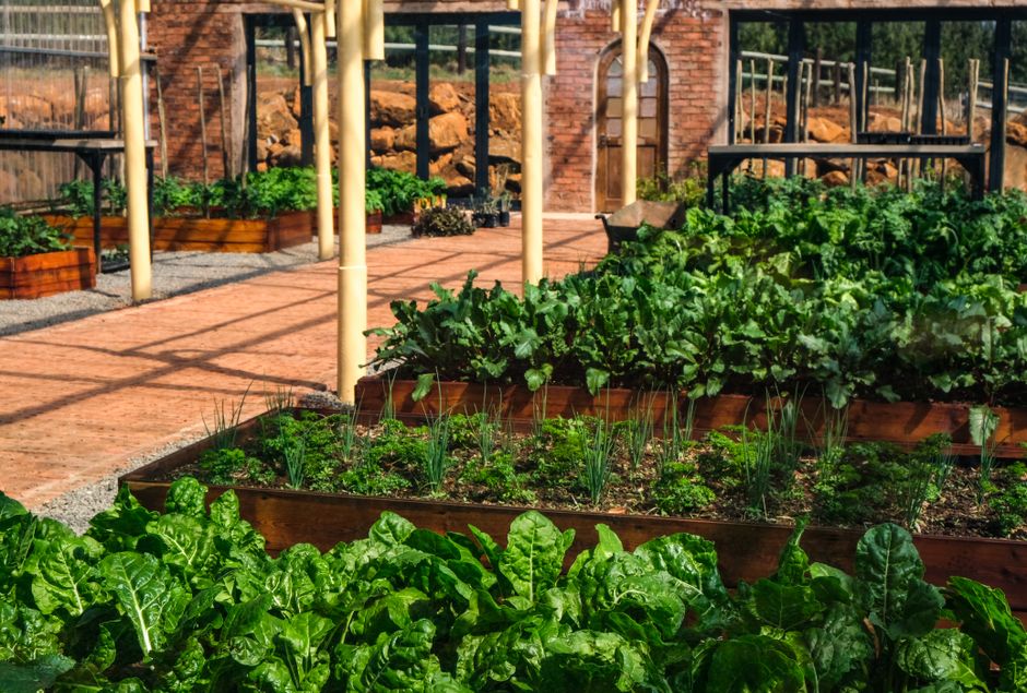Raised Bed with one sculptural accent — home · Garden & Outdoor