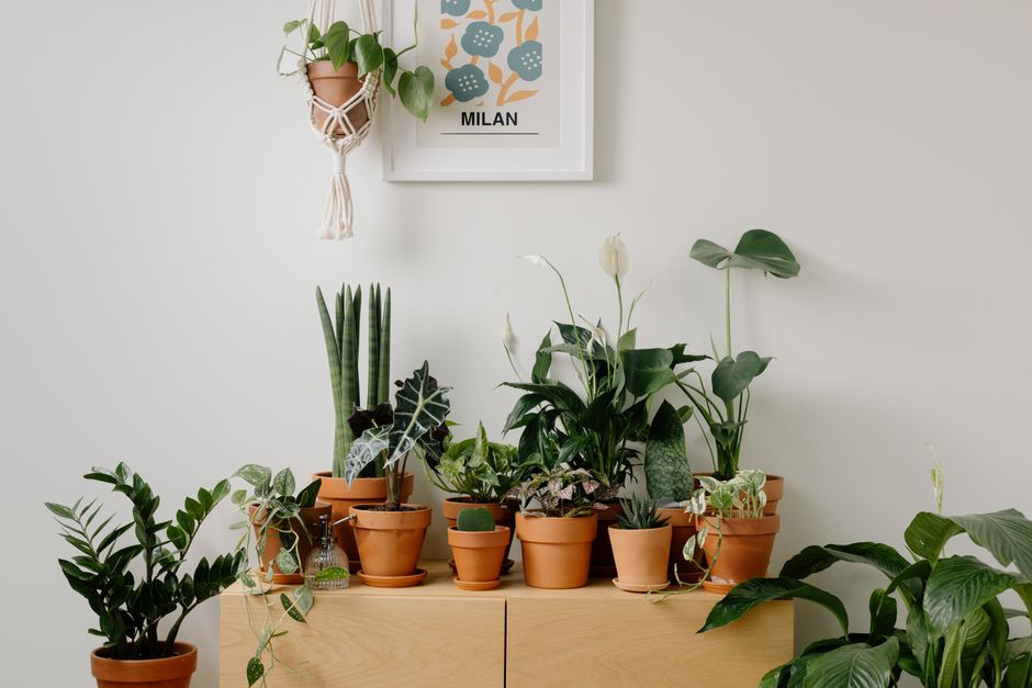 Macramé Plant Hanger for a beginner maker — diy-creativity · Crafts