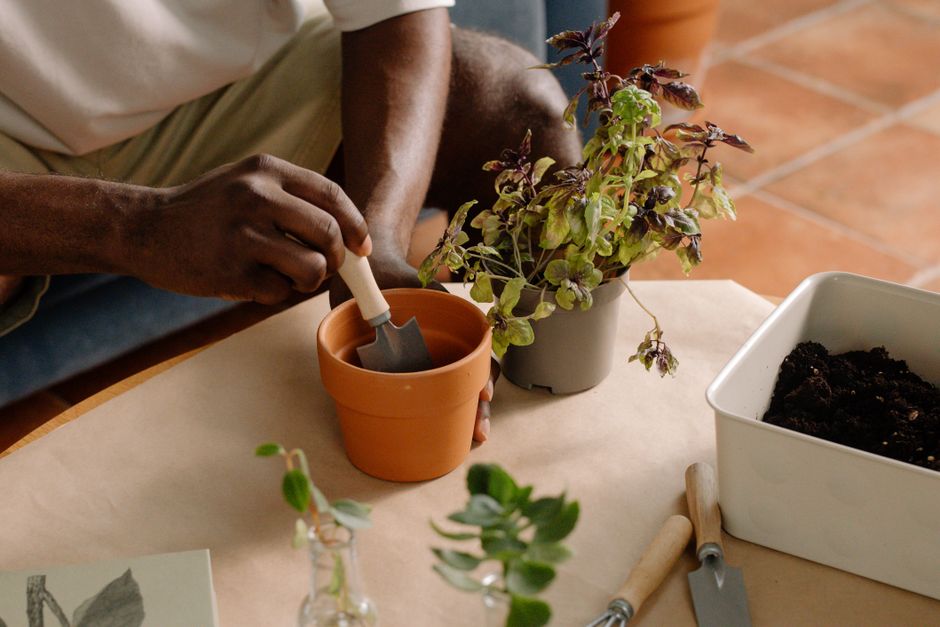 27 Painted Terracotta Pot ideas