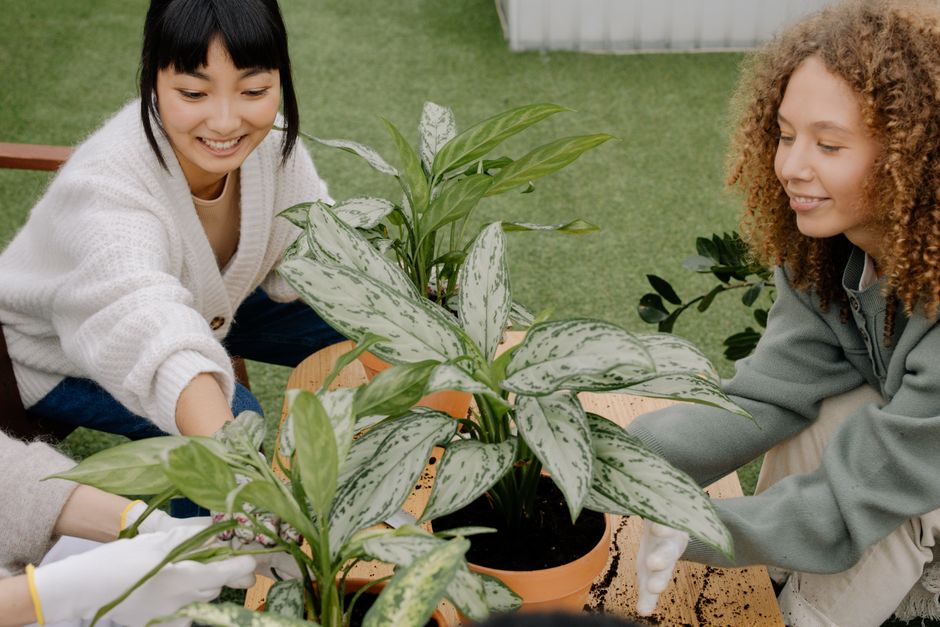 weekend garden & outdoor projects you can actually finish using thrifted character pieces — home · Garden & Outdoor