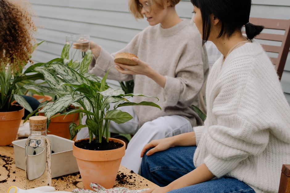 weekend garden & outdoor projects you can actually finish with a quiet hotel-like touch — home · Garden & Outdoor