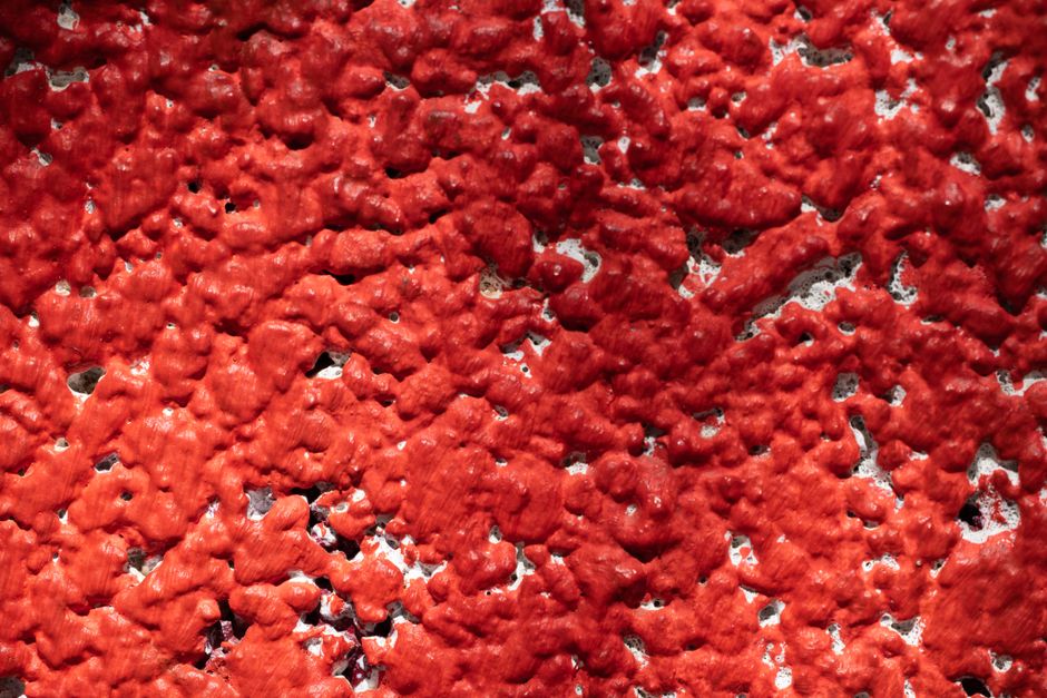 texture with one sculptural accent — home · Garden & Outdoor