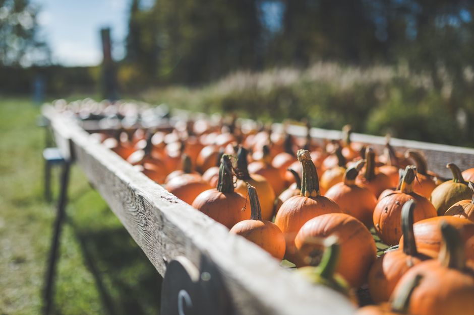 Roadside Farm Stand with a sunset finish — travel · Road Trips