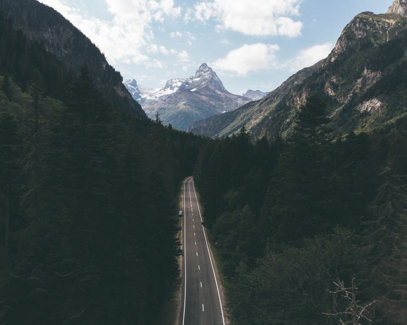 Road-Trip Singalong with a surprise reveal — entertainment · Music