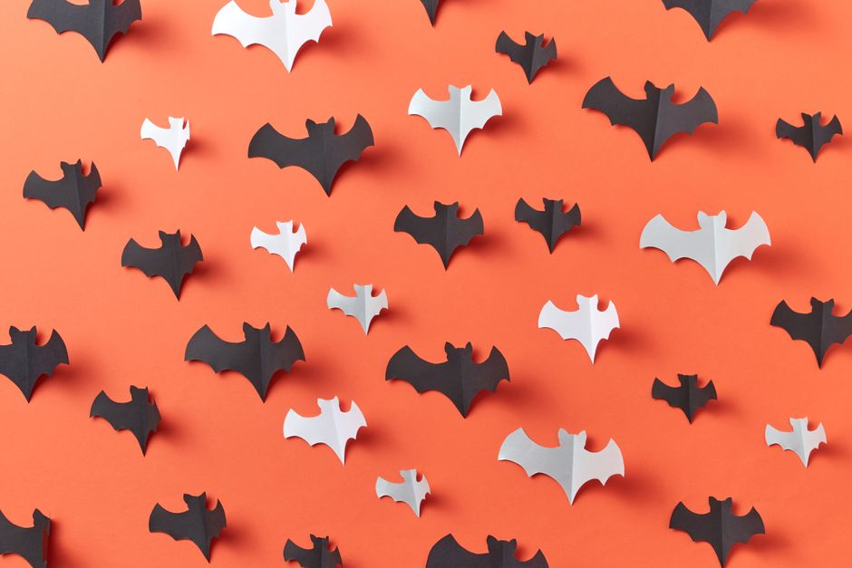 Bat Wall Display around a quiet morning celebration — celebrations · Halloween