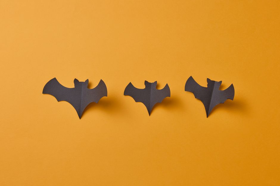 Bat Wall Display with a candlelit welcome — celebrations · Halloween